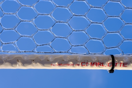 freeze